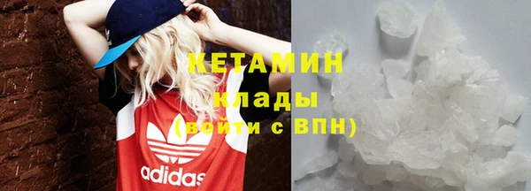 крисы Новодвинск