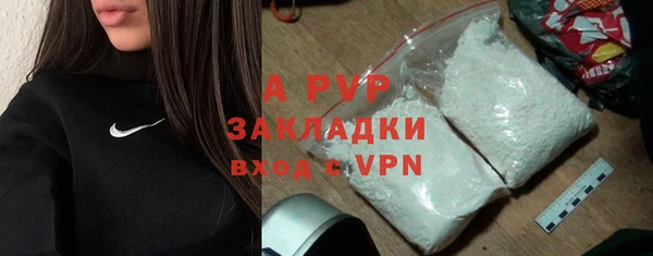 крисы Новодвинск