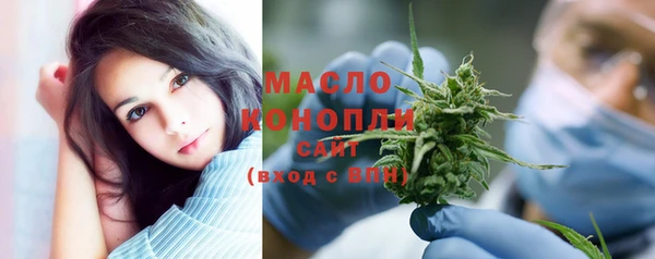 крисы Новодвинск