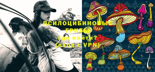 прущая мука Новозыбков