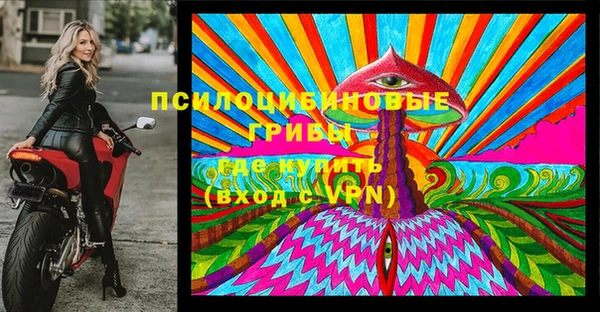 шишки Нефтегорск