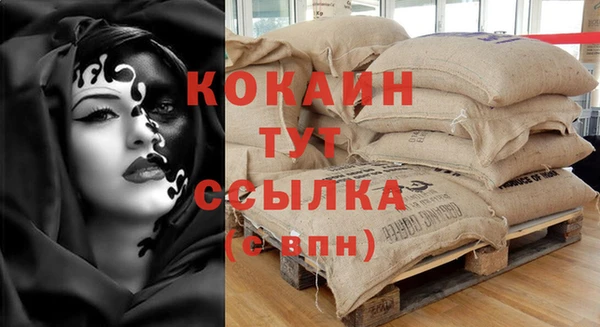 крисы Новодвинск