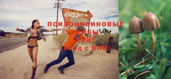 прущая мука Новозыбков