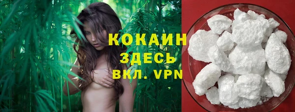 крисы Новодвинск