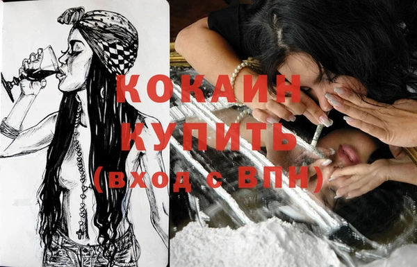 крисы Новодвинск