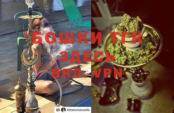 крисы Новодвинск