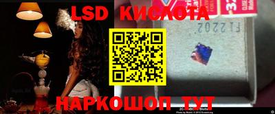 PSILOCYBIN Кингисепп