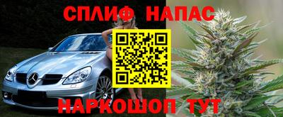 PSILOCYBIN Кингисепп