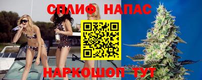 прущие грибы Кимры