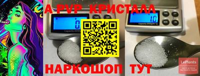 PSILOCYBIN Кингисепп