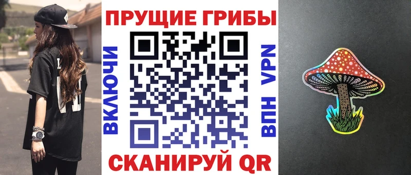 ссылка на мегу рабочий сайт  Отрадное  Галлюциногенные грибы Magic Shrooms 