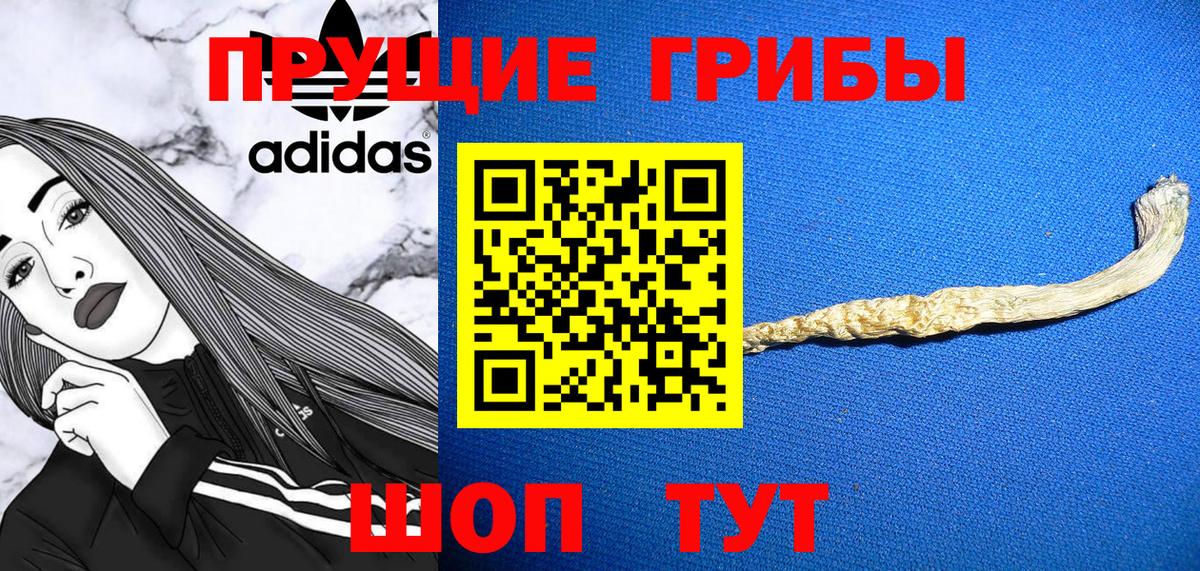 Галлюциногенные грибы прущие грибы Отрадное