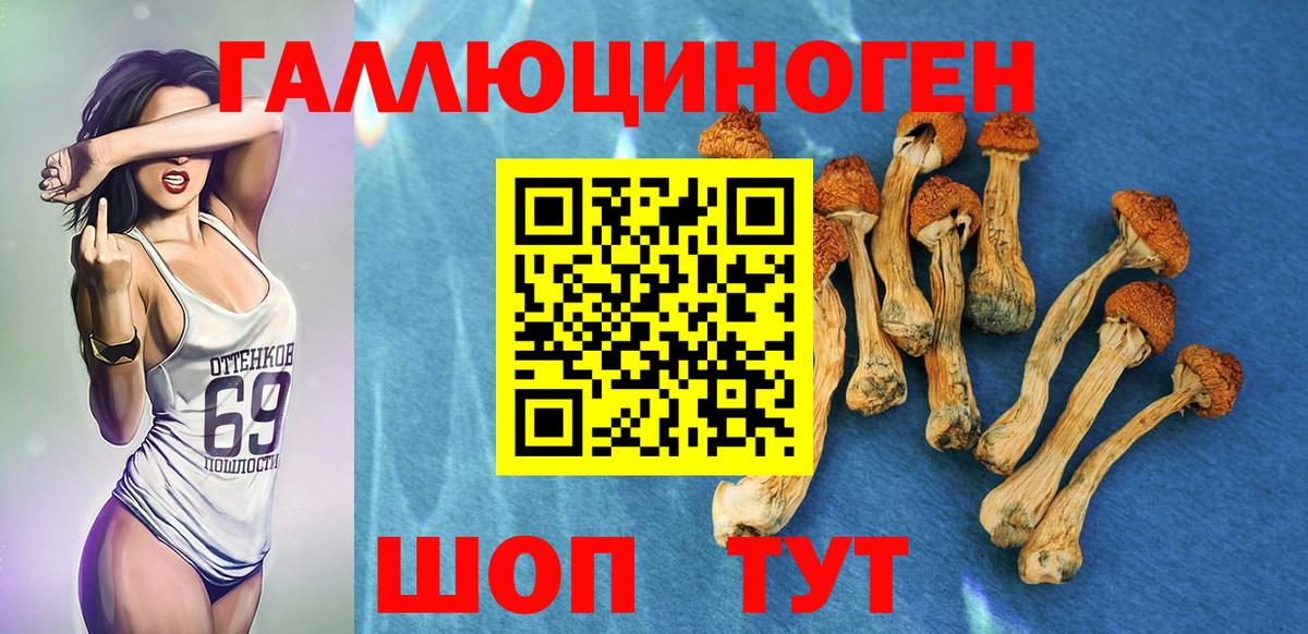 Псилоцибиновые грибы GOLDEN TEACHER  Псилоцибиновые грибы прущие грибы  купить закладку  Отрадное  Вход с VPN 